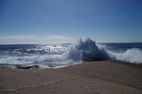 Besuch des Fischerdorfs Peggy's Cove