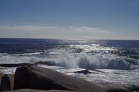 Besuch des Fischerdorfs Peggy's Cove