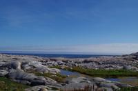 Besuch des Fischerdorfs Peggy's Cove