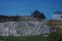 Besuch des Fischerdorfs Peggy's Cove