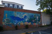 Besuch des Dörfchen Lunenburg