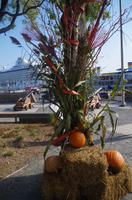 Bummel durch die Unterstadt zum Place Royale von Québec in Kanada