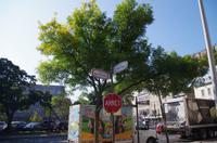 Bummel durch die Unterstadt zum Place Royale von Québec in Kanada