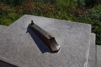 Spaziergang im Mount Royal Park mit Besuch des 