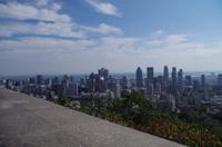 Spaziergang im Mount Royal Park mit Besuch des 