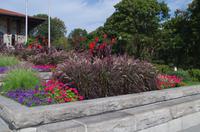 Spaziergang im Mount Royal Park mit Besuch des 