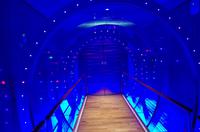 Abschiedsabend auf der AIDAdiva