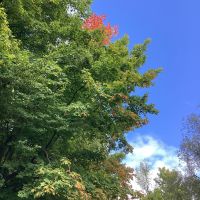 ….ein bisschen Indian Summer….