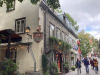 Quebec - ob da Kaninchen direkt in den Topf hüpft?