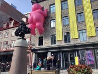 Sonnenkönig und Kunstaktion -  Quebec 