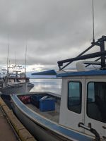 132.  NCL-Ausflug in Charlottetown, Prince Edward Island, Kanada