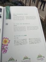 133.  NCL-Ausflug in Charlottetown, Prince Edward Island, Kanada