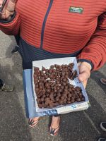 204. Ausflug in Saguenay, Kanada