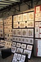 Künstelerstraße wie in Paris