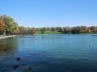Im Parc du Montreal