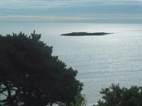 Im Acadia-Nationalpark