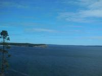 Im Acadia-Nationalpark