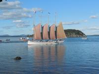 Segelschiff vor Bar Harbor