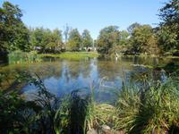 Public Gardens Halifax