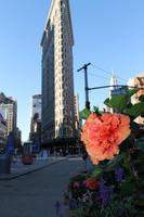 Stadtrundfahrt New York