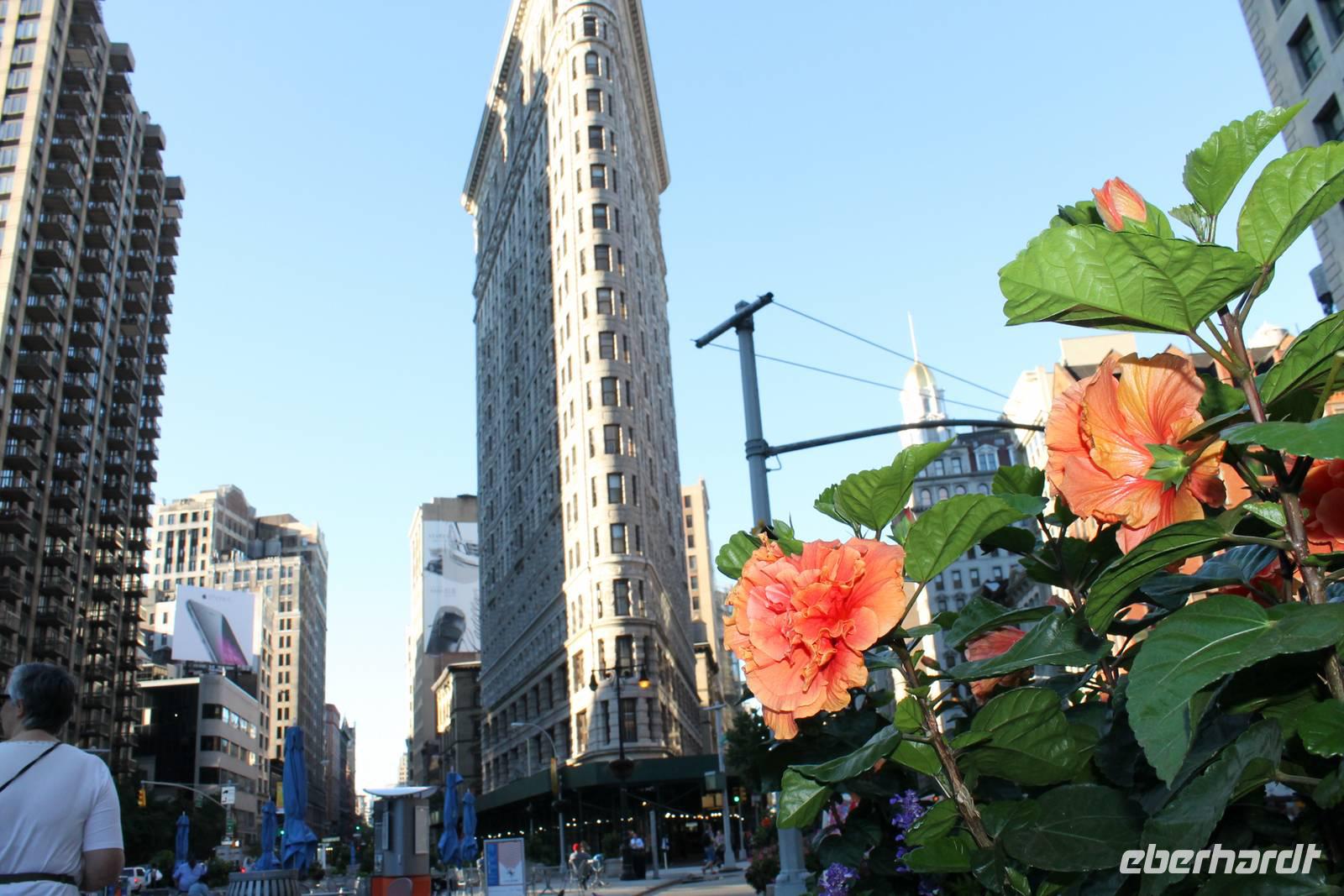 Stadtrundfahrt New York