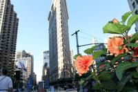 Stadtrundfahrt New York