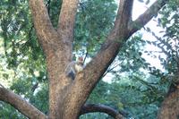 Stadtrundfahrt New York