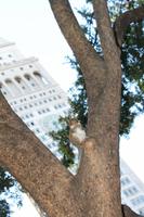 Stadtrundfahrt New York