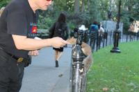 Stadtrundfahrt New York