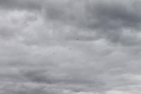 Stadtrundfahrt New York - Freiheitsstatur