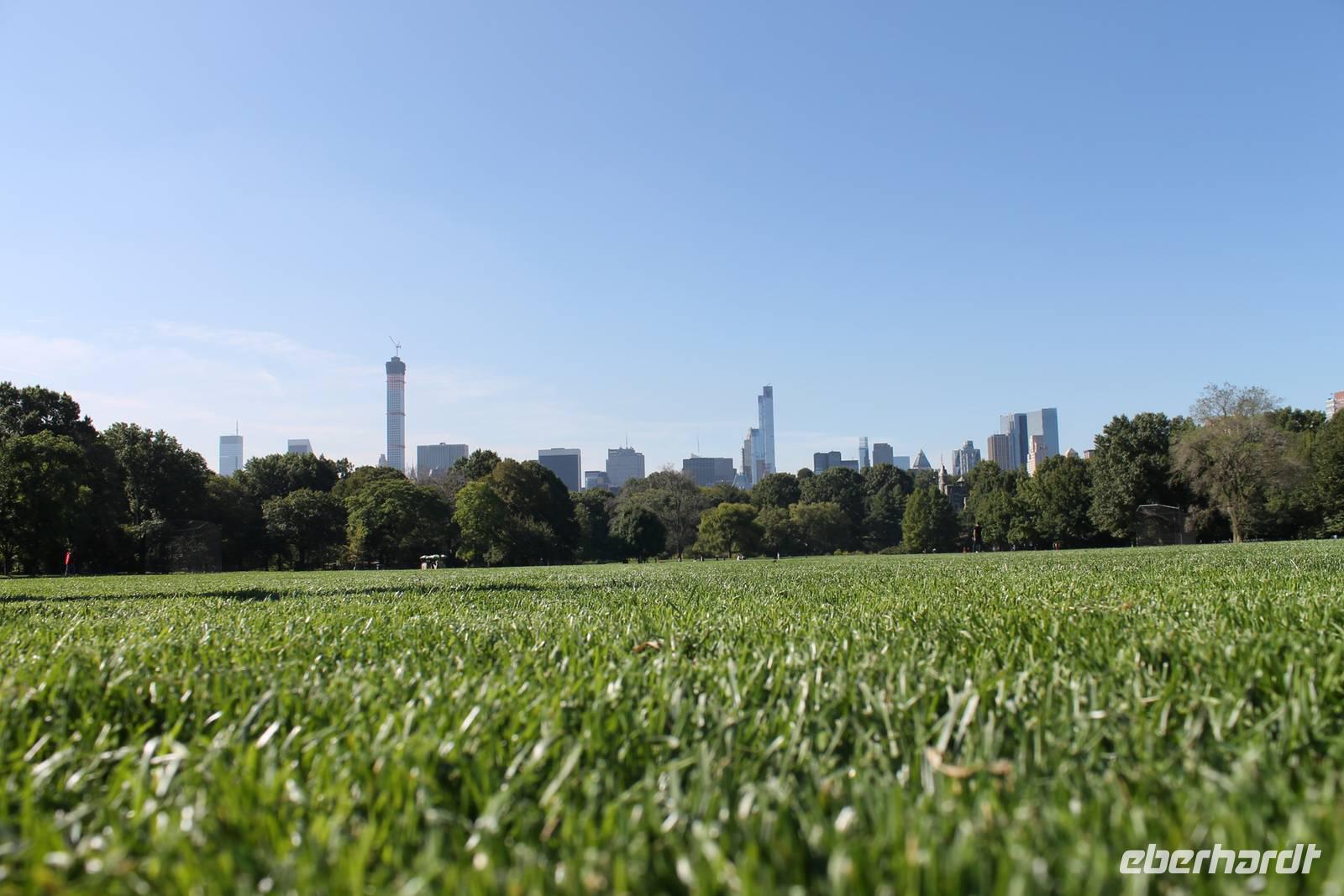 New York - Central Park