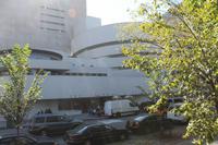 New York - Central Park