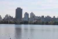 New York - Central Park
