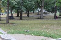 Bosten - Stadtrundfahrt