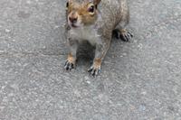 Bosten - Stadtrundfahrt