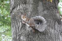 Bosten - Stadtrundfahrt