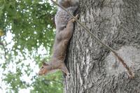 Bosten - Stadtrundfahrt