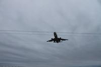 Bosten - Ausschiffung