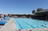 Bar Harbour - Lobster Essen