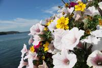 Bar Harbour - Lobster Essen