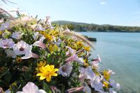 Bar Harbour - Lobster Essen