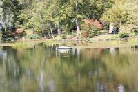 Halifax - Stadtrundfahrt