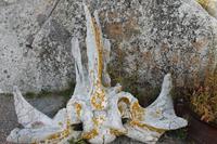 Halifax - Peggys Cove