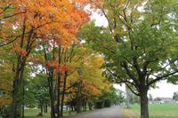 Quebec Montmorency Wasserfall