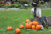 Quebec - Stadtrundfahrt