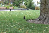 Quebec - Stadtrundfahrt