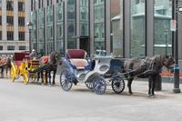 Montreal - Stadtrundfahrt