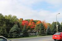 Montreal - Stadtrundfahrt