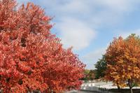 Montreal - Stadtrundfahrt