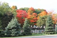 Montreal - Stadtrundfahrt